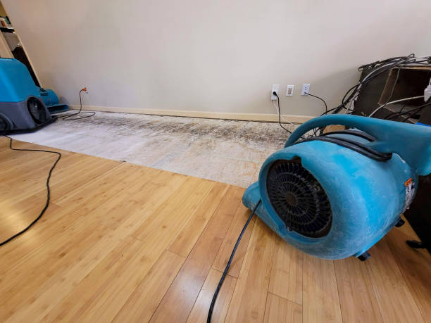 Professional Structural Drying technician working in Dundee, FL